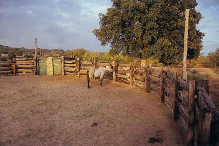 Casa Rural Finca Valvellidos 哈赖斯德拉韦拉 外观 照片